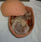 cacassi&egrave;re, cacasse &agrave; cul nul, francis dumeli&eacute;, francis dumelie, poterie du fil de l'eau