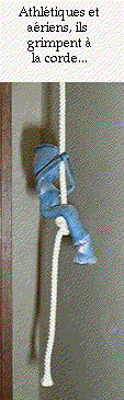 francis dumeli&eacute;, poterie du fil de l'eau, poterie anthropomorphe, gudule, soliflore personnage