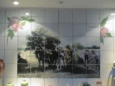 francis dumelie, photoemaillage, imagerie ceramique, photoceramique