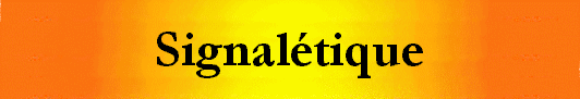 francis dumelie, photoemaillage, imagerie ceramique, photoceramique